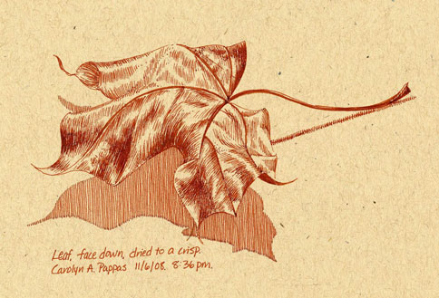 484x329 leaf resource post blog - Dead Leaf Drawing