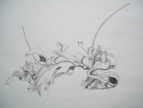 499x376 Nov Drawmo! - Dead Leaf Drawing