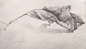300x170 october leaf drawing - Dead Leaf Drawing