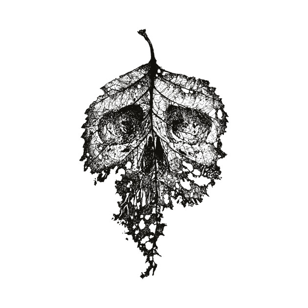 630x630 Dead Leaf - Dead Leaf Drawing