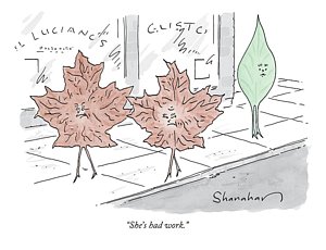 300x230 Dead Leaves Drawings Fine Art America - Dead Leaf Drawing