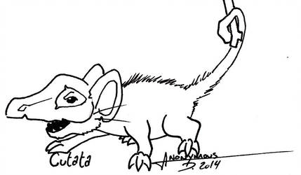 429x250 Cutata The Dead Mouse Pokemon - Dead Mouse Drawing