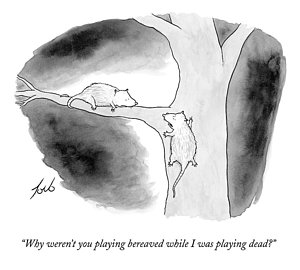 300x270 Dead Mouse Drawings Fine Art America - Dead Mouse Drawing