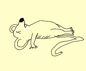 300x250 Dead Mouse Drawing - Dead Mouse Drawing