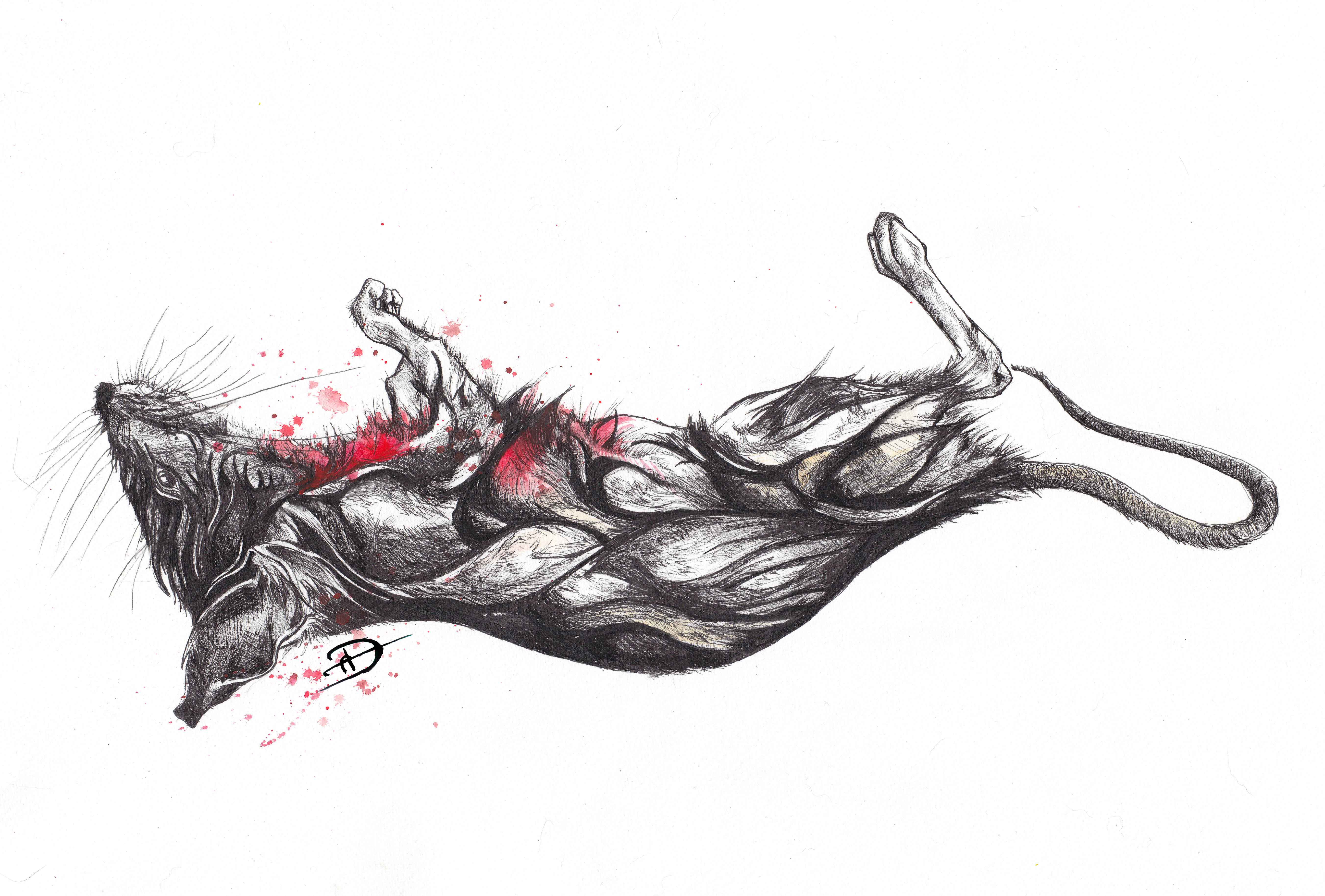 5407x3658 Lay Red!! Daltonsart - Dead Mouse Drawing