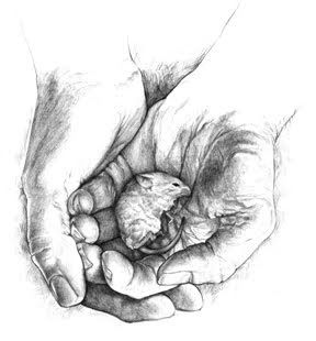 288x310 Outsider Narratives Of Mice And Men - Dead Mouse Drawing