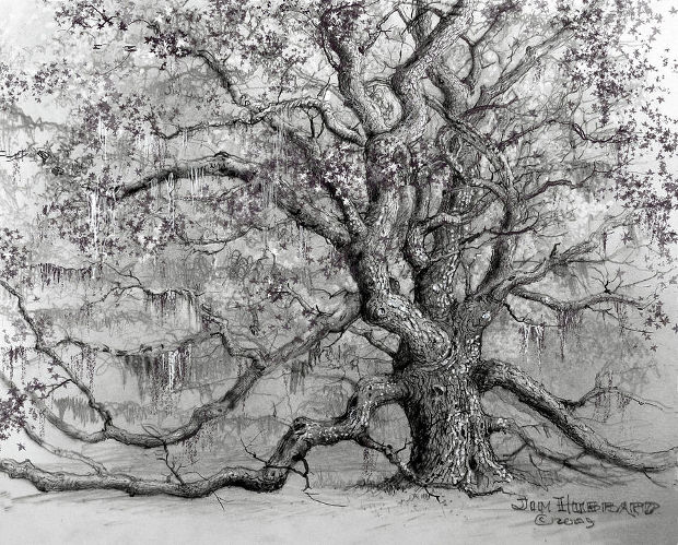 620x499 Drawn Dead Tree Angel Oak Tree Free Clip Art Stock - Dead Oak Tree Drawing