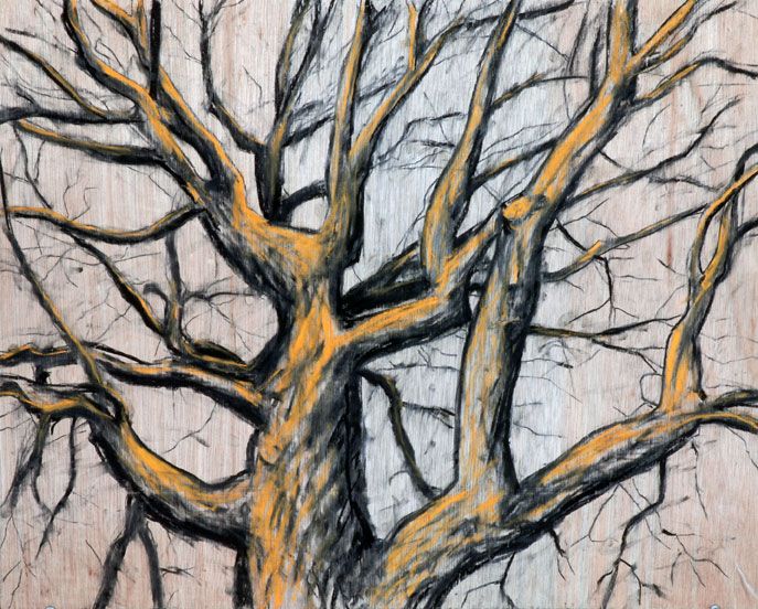 687x552 pics for gt dead oak tree drawings tree sketches oak tree - Dead Oak Tree Drawing