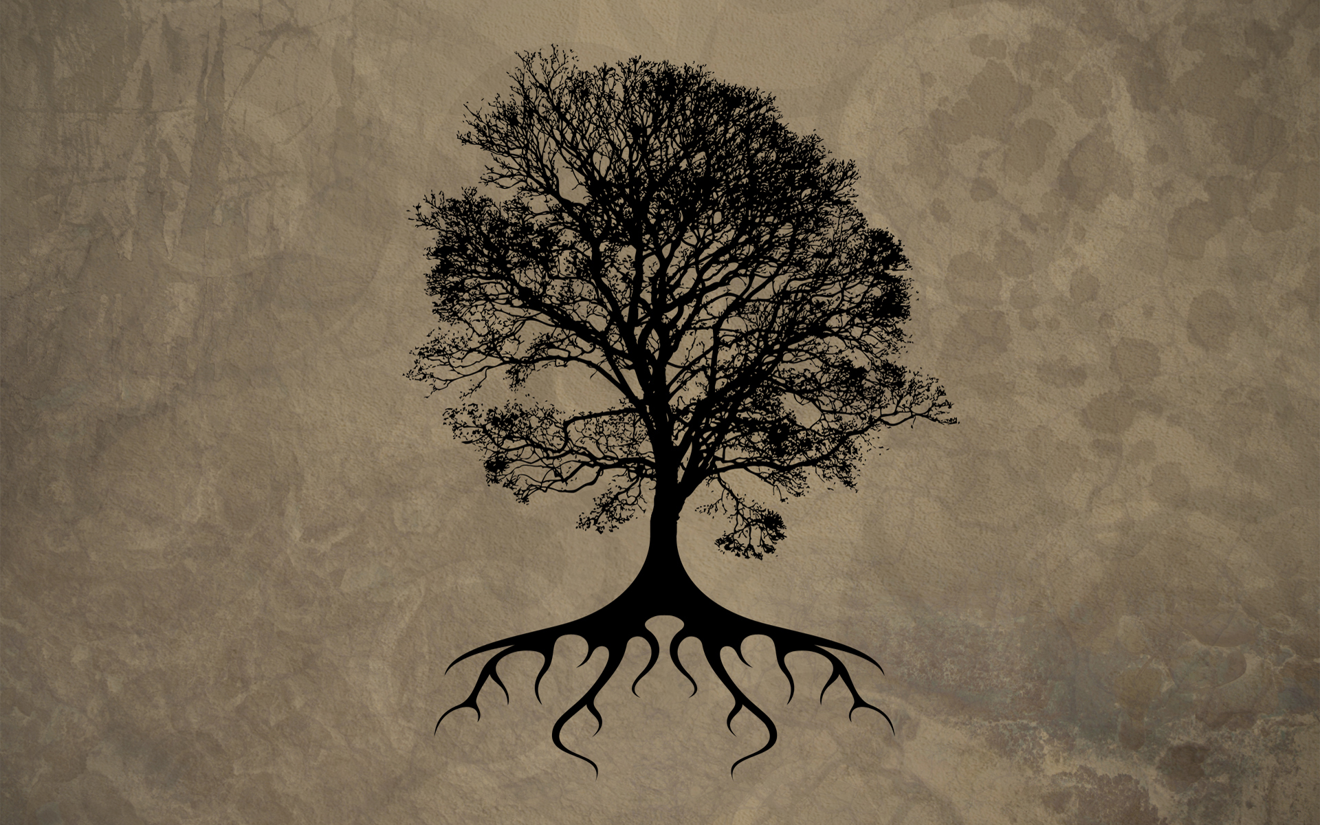 1920x1200 Oak Tree Wallpaper - Dead Oak Tree Drawing