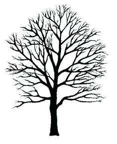 236x290 Simple Dead Tree Drawing Old Tree Stump Sketch Worksheetfun - Dead Oak Tree Drawing