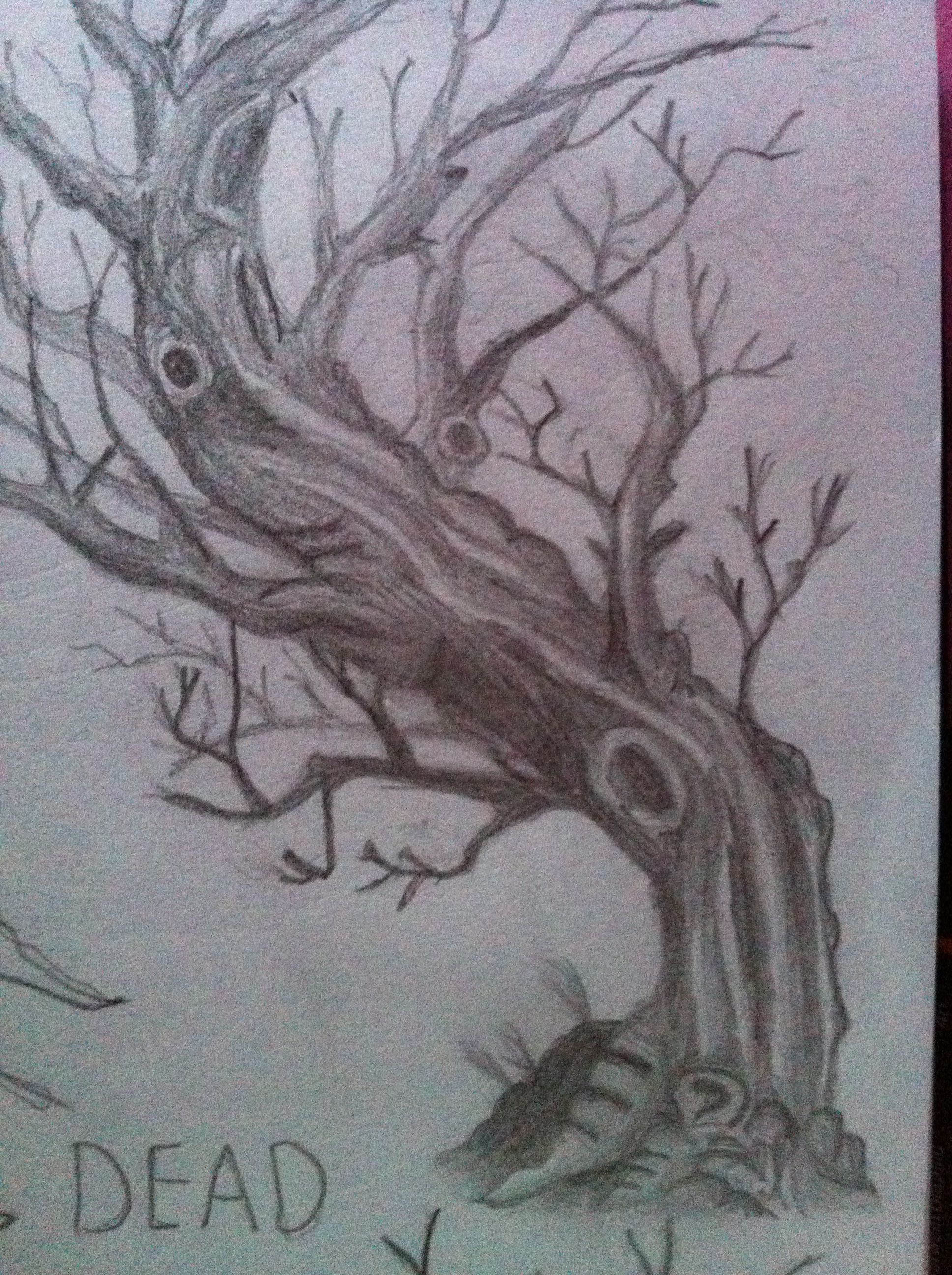 1936x2592 Oak Tree Trunk Sketch Pictures And Ideas On Meta Networks - Dead Oak Tree Drawing