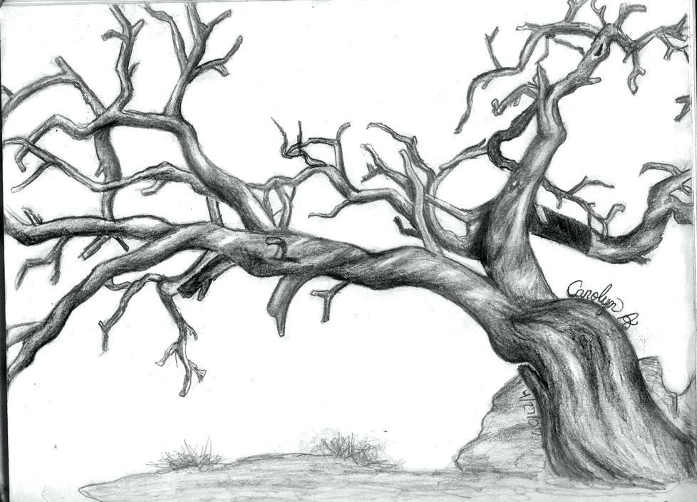 Dead Oak Tree Drawing at PaintingValley.com | Explore collection of ...