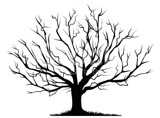 Dead Oak Tree Drawing at PaintingValley.com | Explore collection of ...