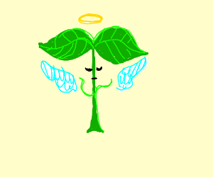 300x250 Dead Plant Guy Who Flew Drawing - Dead Plant Drawing