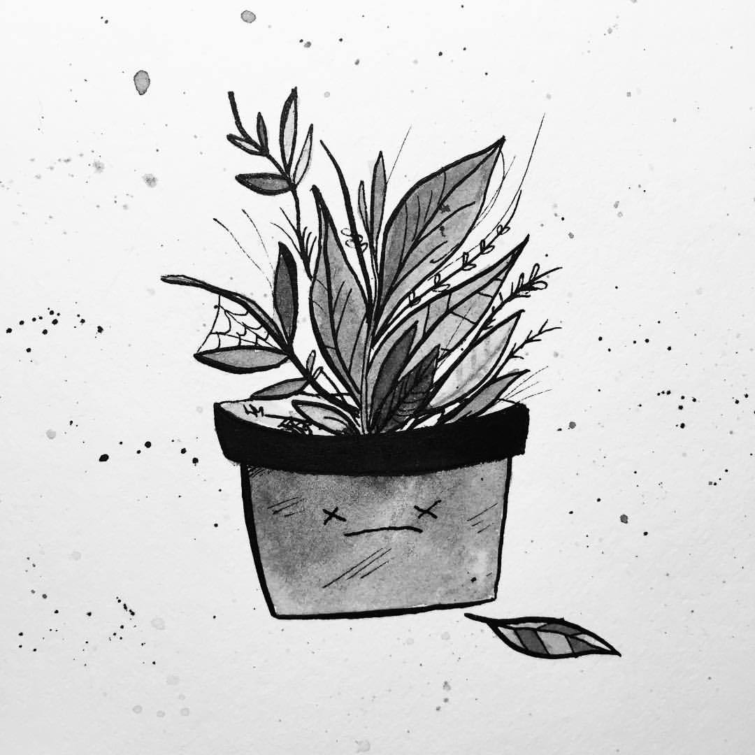 Dead Plant Drawing at Explore collection of Dead