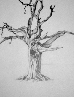 236x310 Huge Collection Of 'dead Plant Drawing' Download More Than - Dead Plant Drawing