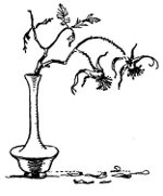 150x181 Is My Clematis Dead - Dead Plant Drawing