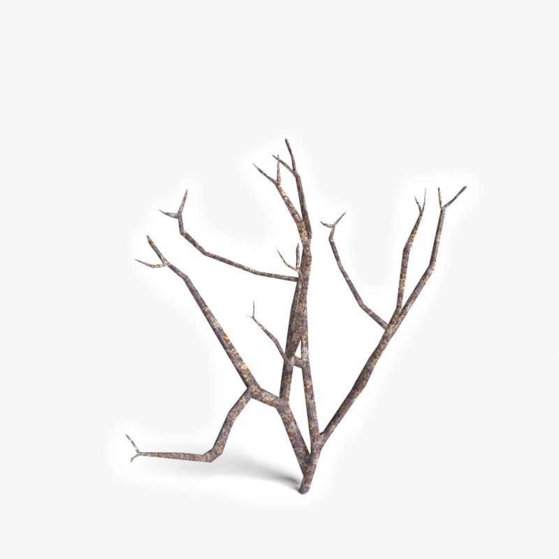 800x800 Model Dead Plant - Dead Plant Drawing