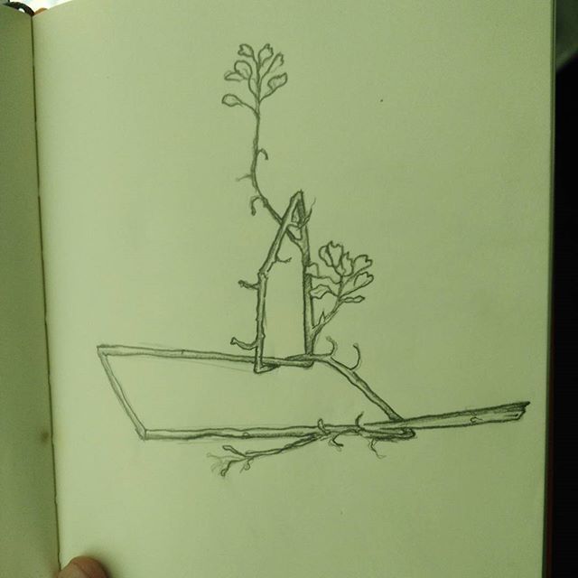 640x640 Plant Life - Dead Plant Drawing
