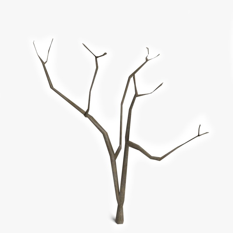 800x800 Dead Plant - Dead Plant Drawing