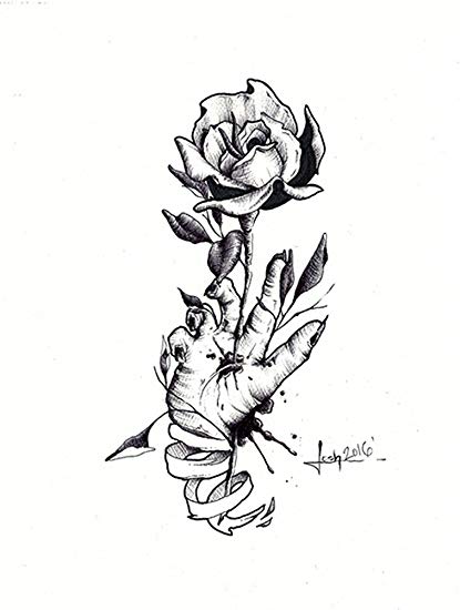 415x550 writer's cramp - Dead Rose Drawing