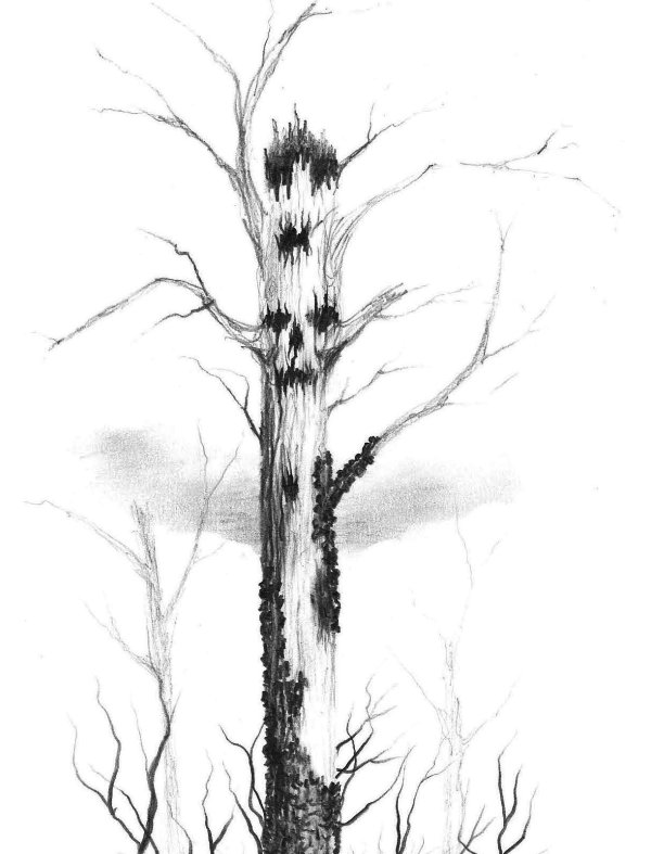 Simple Dead Tree Drawing at Explore collection of