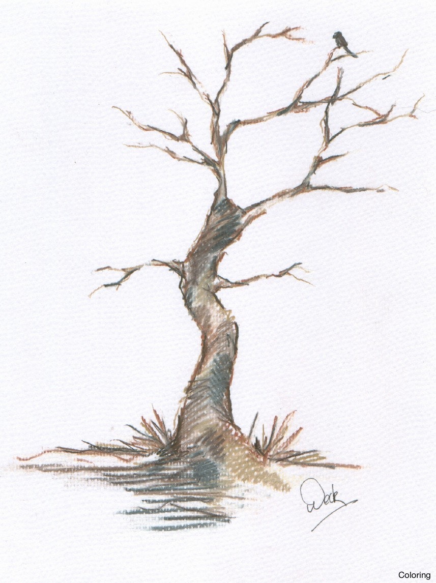 857x1146 How To Draw A Dead Tree Free Download Clip Art - Dead Tree Drawing