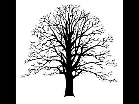 480x360 how to make tree silhouette dead tree easy drawing - Dead Tree Drawing