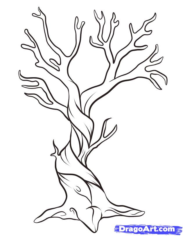 630x810 How To Draw A Dead Tree, Step - Dead Tree Drawing
