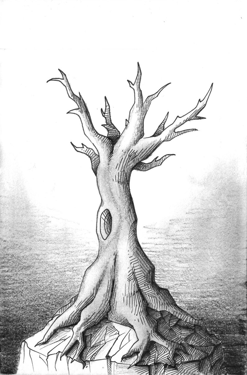 794x1205 Pen Ink And Graphite Dead Tree Drawing Etsy - Dead Tree Drawing