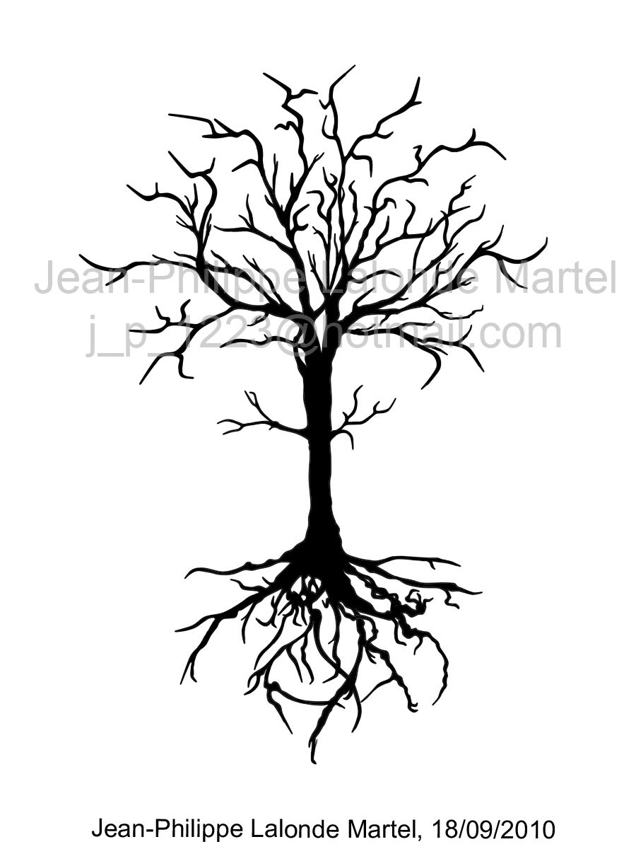 900x1200 tatts final cut drawings, dead tree - Dead Tree Drawing