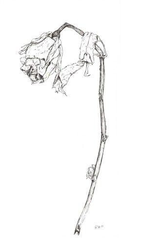 291x499 Death Studies - Death Drawings