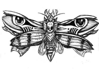 375x274 Death S Head Hawk Moth Drawings For Sale Saatchi Art - Death Head Moth Drawing