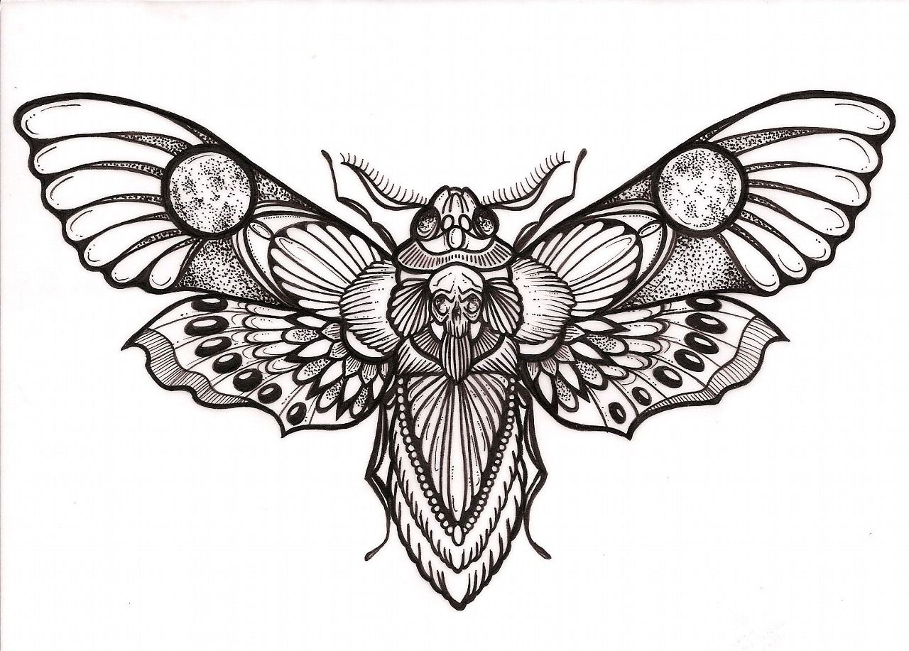 Awesome Deaths Head Hawk Moth Tattoo Design Occult Tattoo - Death Head Moth D...