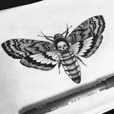236x236 Deaths Head Moth Clipart Drawing - Death Head Moth Drawing