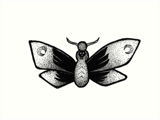 549x413 Dot Work Death Head Moth Hand Drawn Art Prints - Death Head Moth Drawing