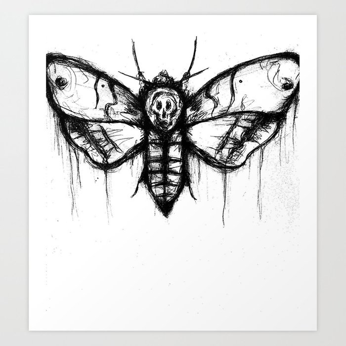 Death Head Moth Drawing at Explore collection of
