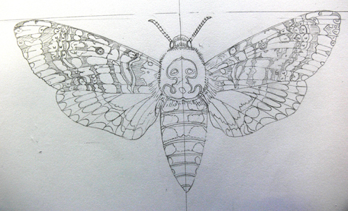 Death Head Moth Drawing at PaintingValley.com | Explore collection of