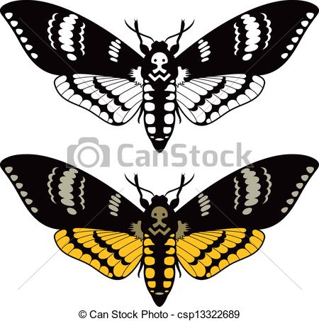 450x453 Death's Head Hawk Moth, Vector Illustration - Death Head Moth Drawing
