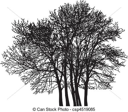 450x392 Group Tree Vector Illustration Of The Deciduous Trees - Deciduous Tree Drawing