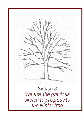 266x383 How To Draw Trees Quickly And Easily - Deciduous Tree Drawing