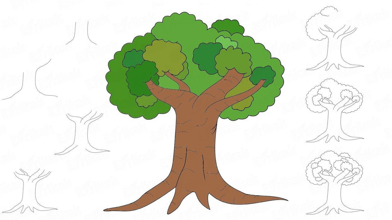 1300x731 How To Draw A Tree With The Crown - Deciduous Tree Drawing
