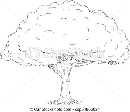 450x385 Cartoon Vector Drawing Of Tree Cartoon Vector Doodle Drawing - Deciduous Tree Drawing