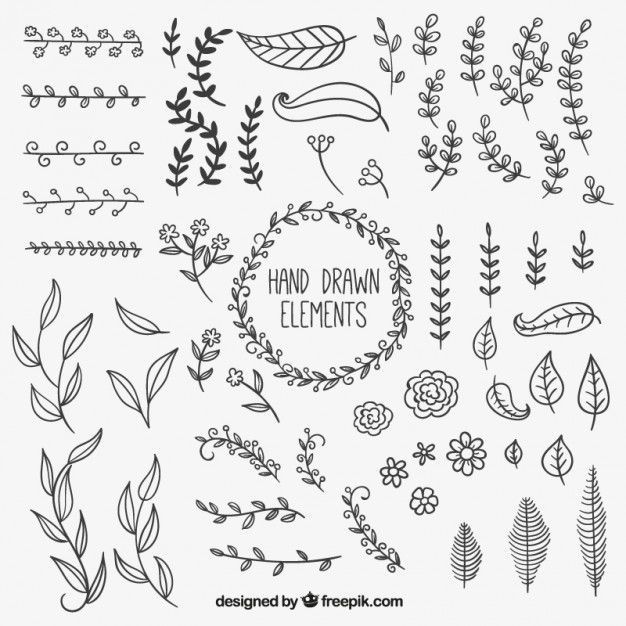 626x626 hand drawn natural decoration elements vector free download - Decoration Drawing