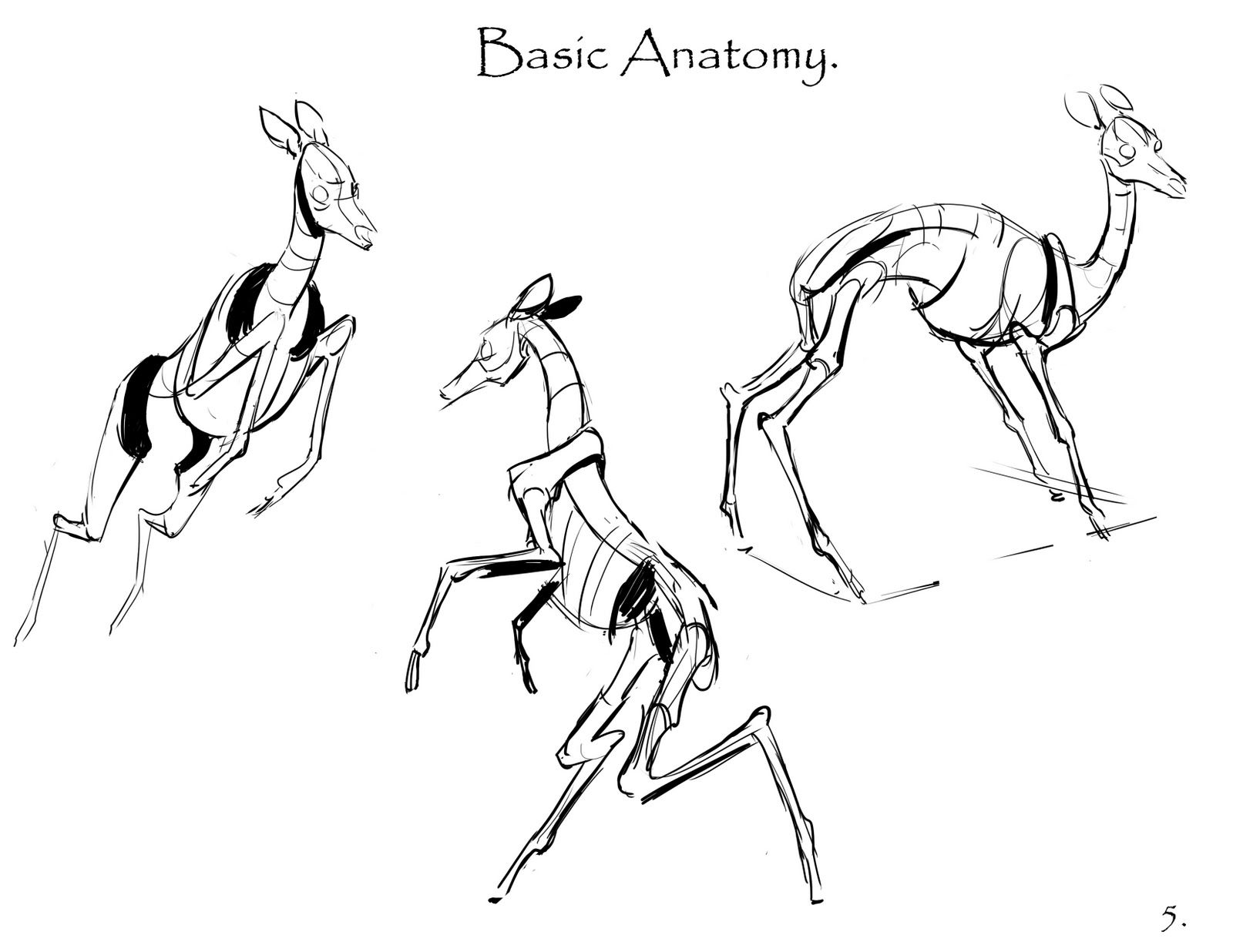 1600x1236 Animal Anatomy Drawings, Animal - Deer Anatomy Drawing