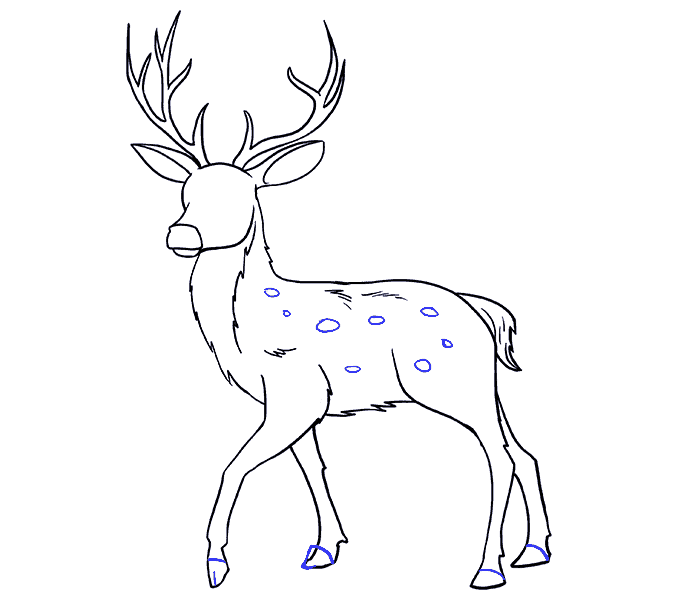 678x600 How To Draw A Deer In A Few Easy Steps Easy Drawing Guides - Deer Antlers Drawing