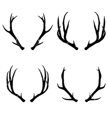 219x230 antlers - Deer Antlers Drawing