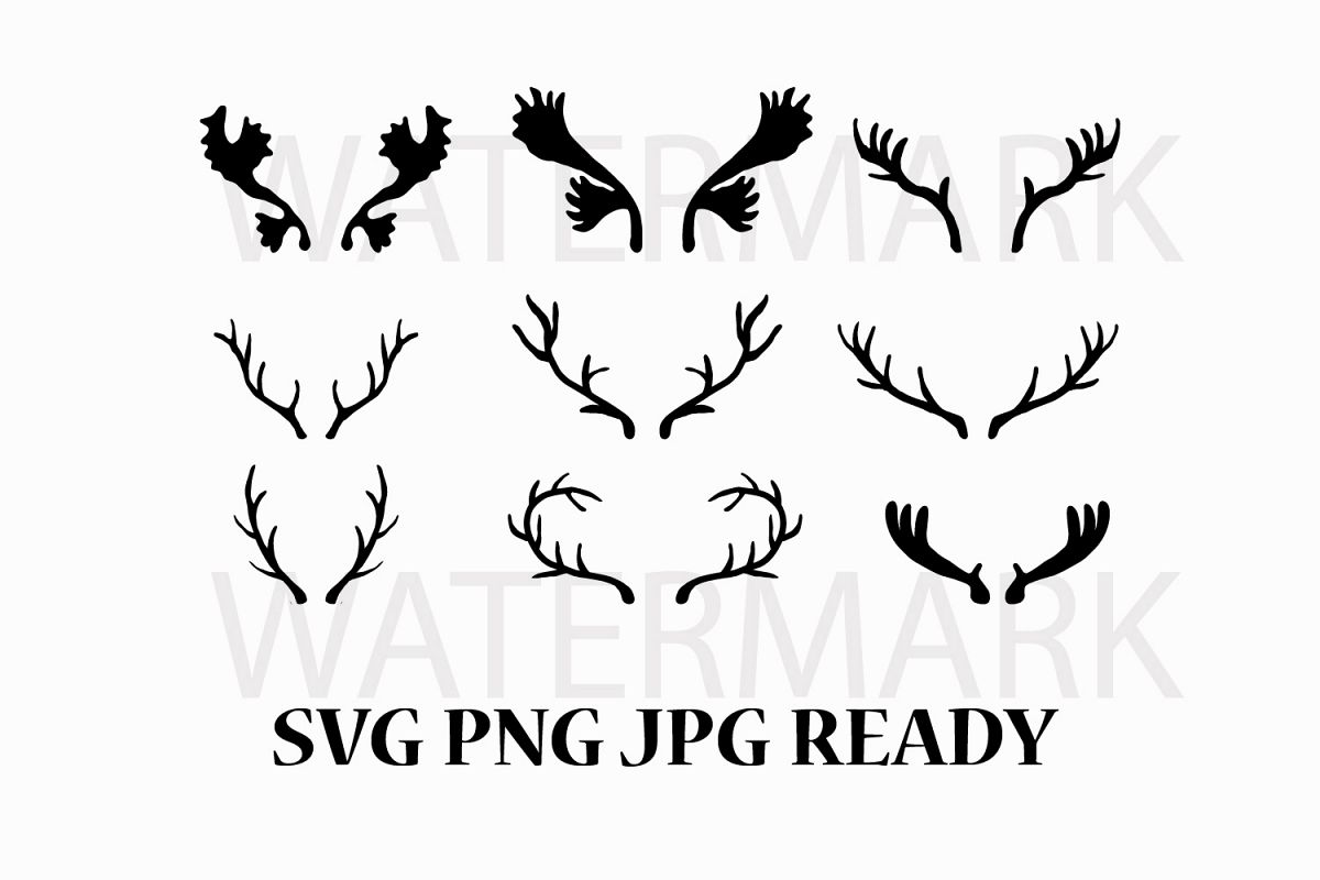 1200x800 bundle set of deer antler - Deer Antlers Drawing