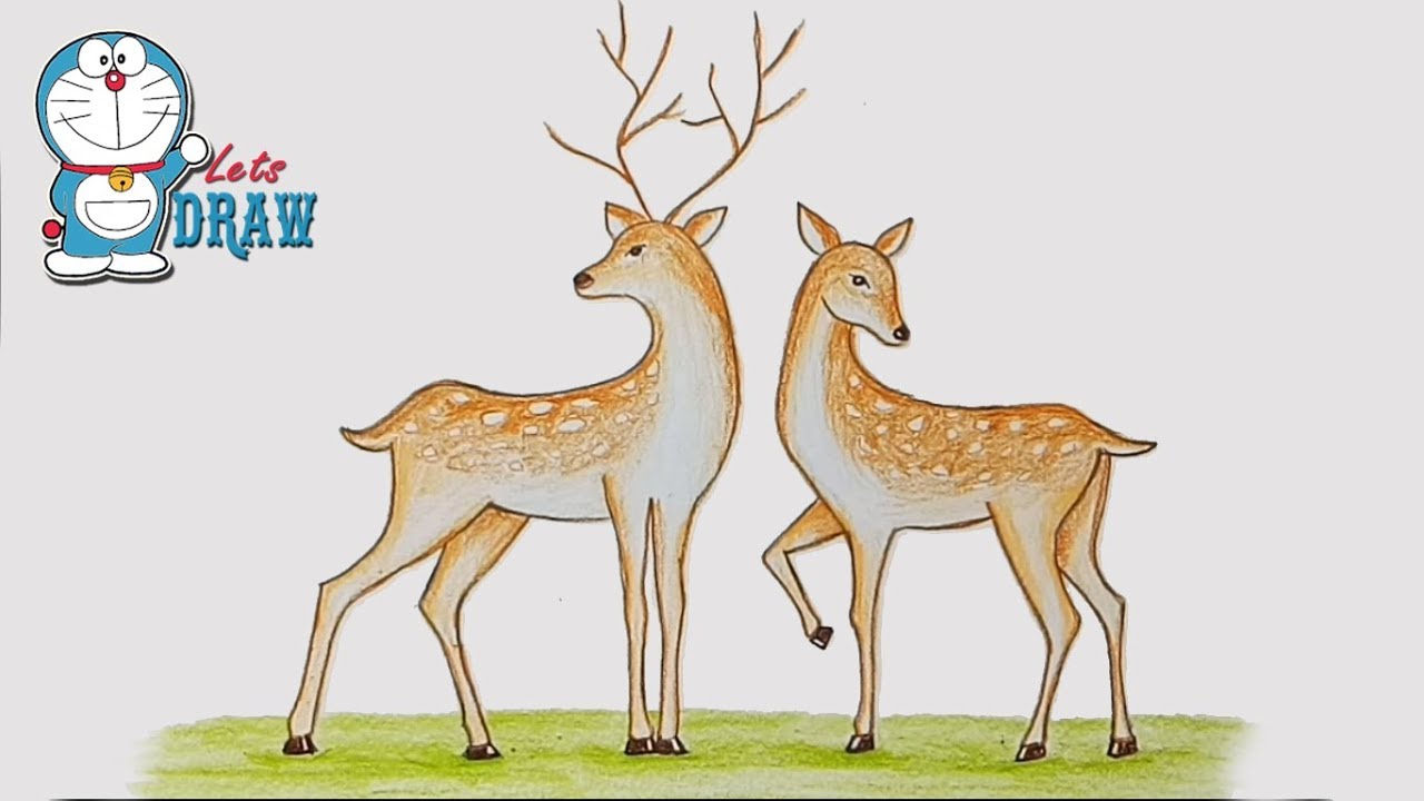 1280x720 How To Draw Two Deer Step - Deer Drawing
