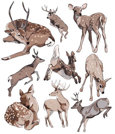 400x466 Deer Drawing Tumblr - Deer Drawing